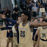 оригинальный звук