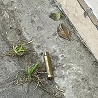 cerosapos52