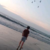 luis.plata86