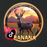 ljshanses