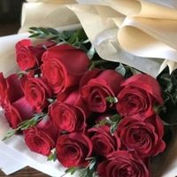 elena_0056248