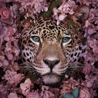 amy_amuo98