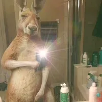 original sound - lamexarap