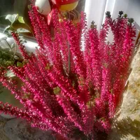 original sound - zveki3366