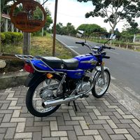 angelcarriel_11