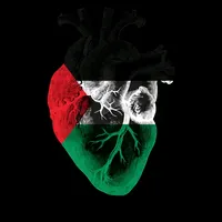 original sound - ab___dou.1