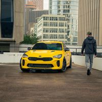 spacecity_stinger