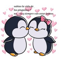 anita30lili