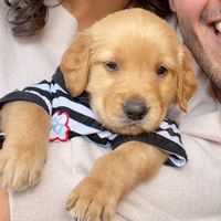 علاجك النفسى