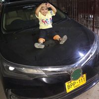 maniqureshi956