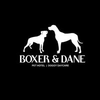 boxeranddanehotel