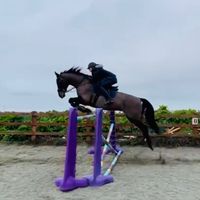 rocco_my_beautiful_boy