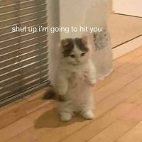 not_nil4