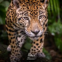 zsolt.simon28