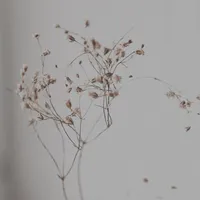 original sound - lilett__