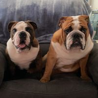 shorty_n_smokey_byars