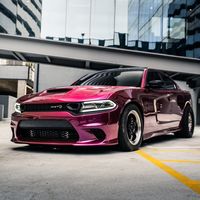easymoneyhellcat