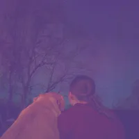 original sound - taylor.l.official