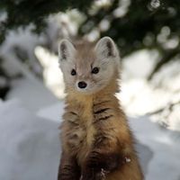 spudalicious404