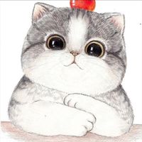 blue.cat.duobao