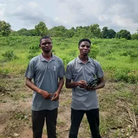 original sound - owoade.abraham