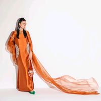 aminaosamamirza
