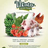 nkata.mixed.farm