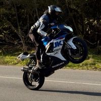 street_predat_