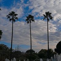 je_reviens_en.2o26