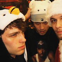 sturniolotriplets394