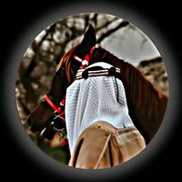 sidoqse