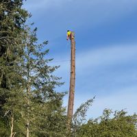 .caracuaro.california3