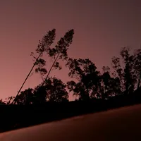 original sound - tigre_kv