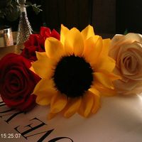maria_heredia289