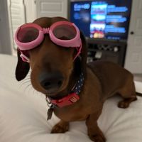 fourandaquarterweens