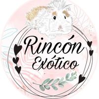 rinconexotico