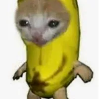 original sound - gato_banano_te_lo_explic