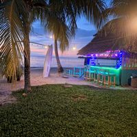 rolas_de_pary_en_casa