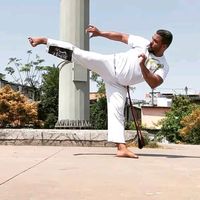 pitbullcapoeiratraining