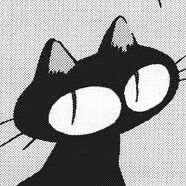 thats very interesting but what about the gays