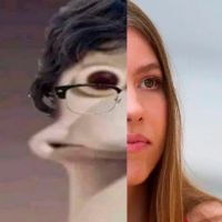 eleditordesenati
