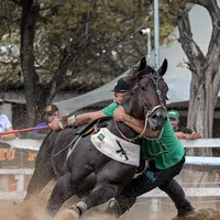 original sound - peixedalamvaq