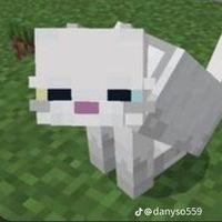 fernanda_7662