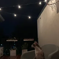 original sound - avrulii