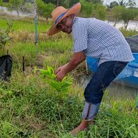 เสียงต้นฉบับ - ลุงเก่งเกษตรอินทรีย์🌱🥦🌶️🐛