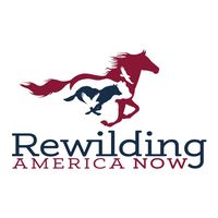 rewildingamerican