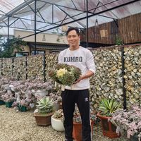 nhạc nền - Cao Khanh