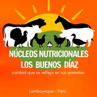 nucleoslosbuenosdiaz