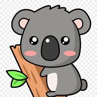 thekoala66