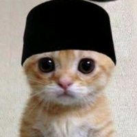 dimassukagabut